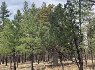 4333 Horseshoe Dr, Happy Jack, AZ 86024
