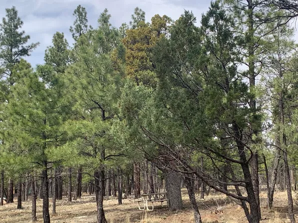 4333 Horseshoe Dr, Happy Jack, AZ 86024