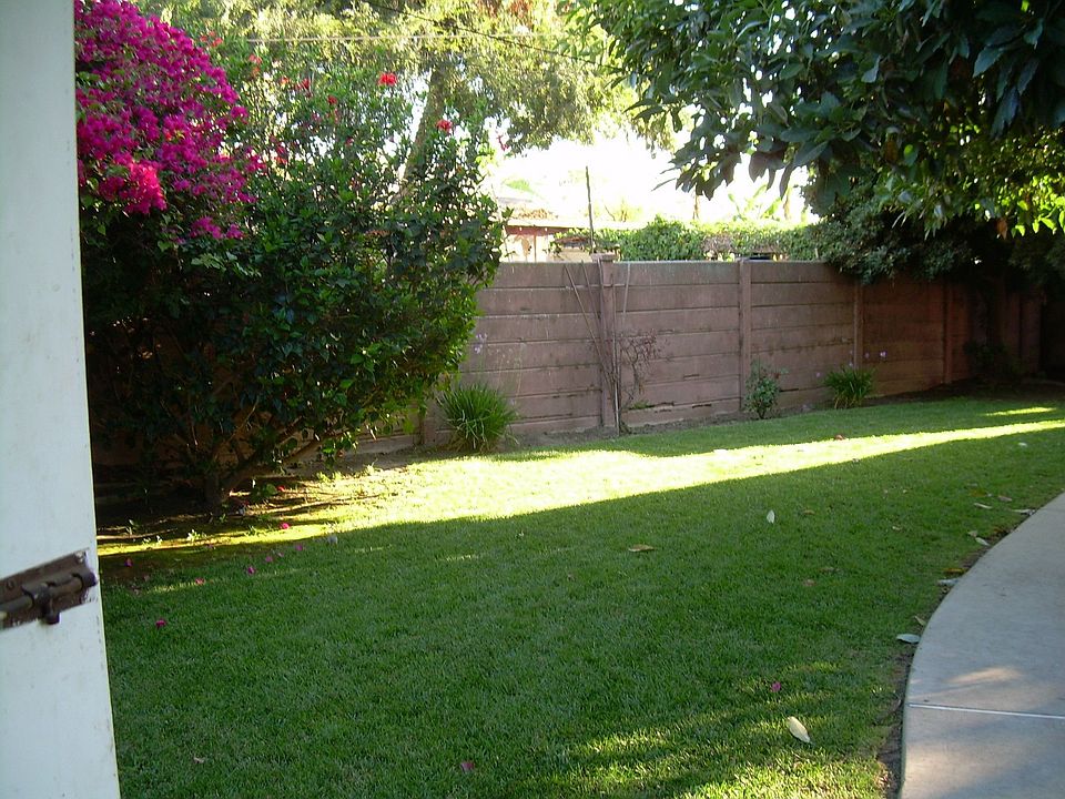 Backyard-partial