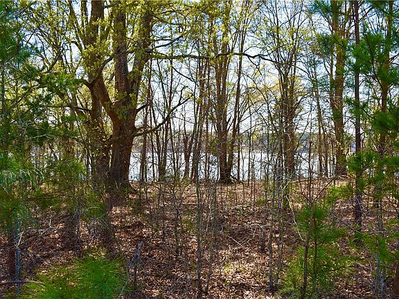 3rd image of 0 Toccoa Hwy Tract 4