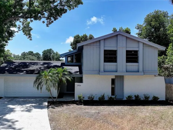 3906 Blooming Hill Ln, Palm Harbor, FL 34684
