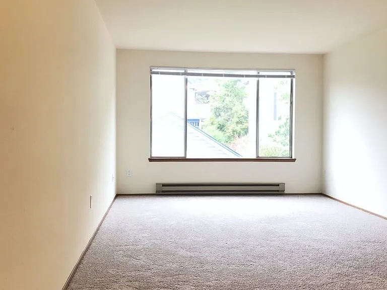 The Shannon Apartments — Photo 9