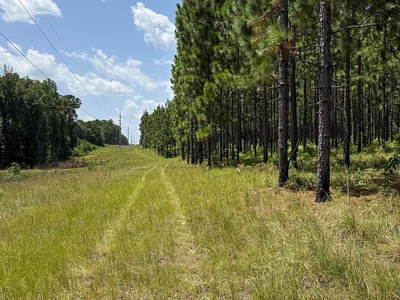 3rd image of PARCEL 4 Miller Farm Rd