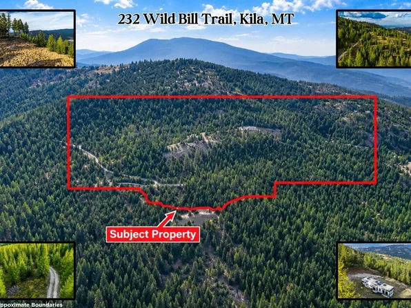 232 Wild Bill Rd, Kila, MT 59920