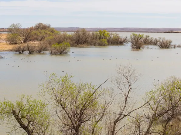 33016 County Road 95, Crook, CO 80726