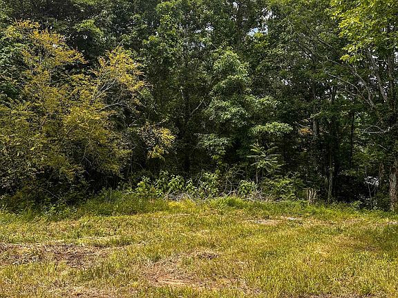 5th image of Eva Rd