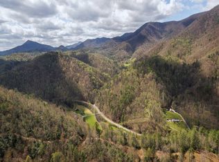 199 Gunsmoke Mountain Rd, Erwin, TN 37650