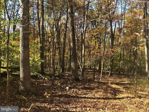 Cliff Ln, Bluemont, VA 20135