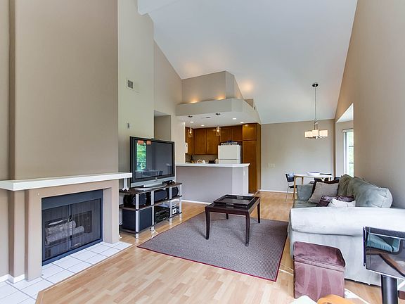 Fireplace & vaulted ceilins