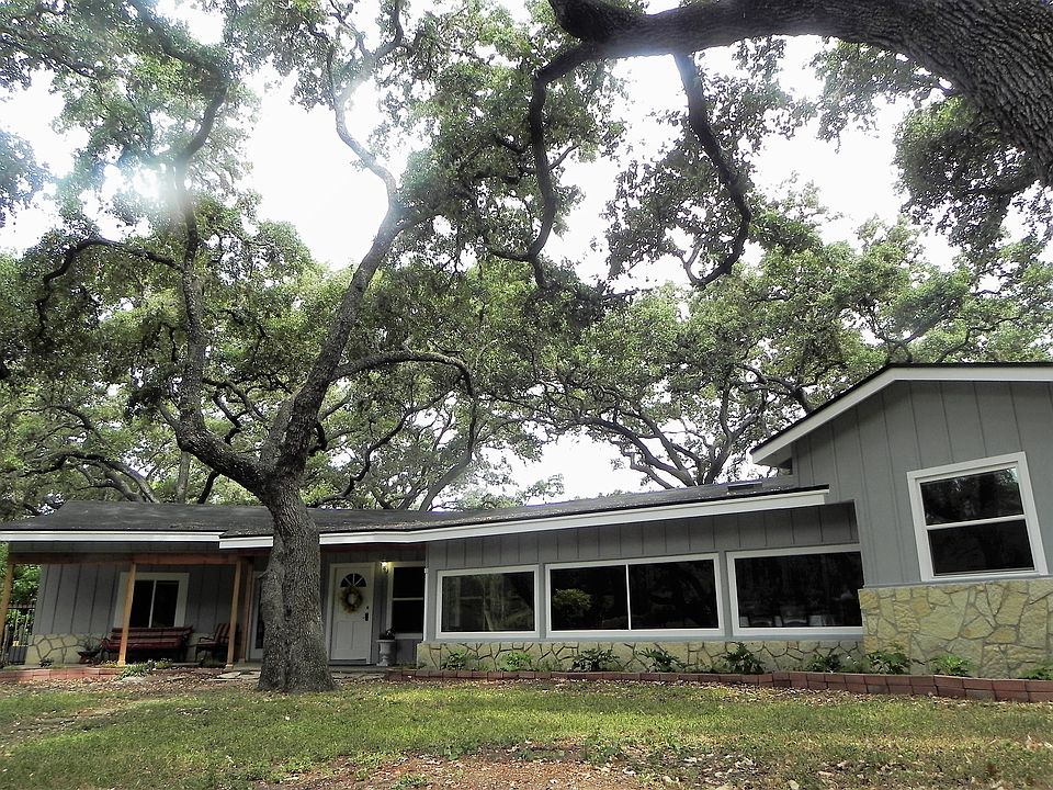 Beautiful trees and windows
