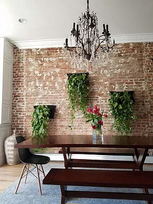 Rented by Owner | media 2