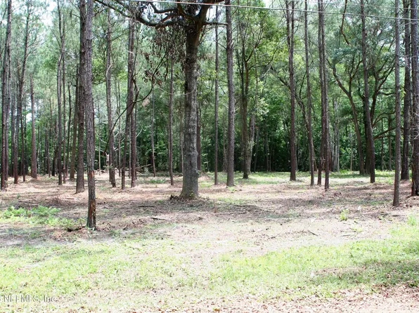 0 WILBUR JONES Road, Callahan, FL 32011