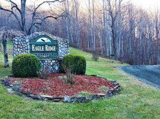 11 Roan Springs Rd, Roan Mountain, TN 37687