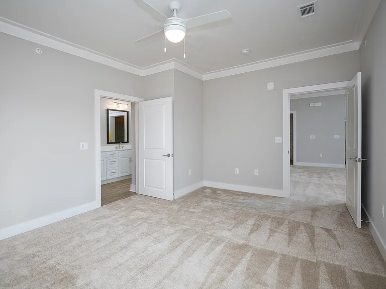 Greystone at Mulberry Grove — Photo 86