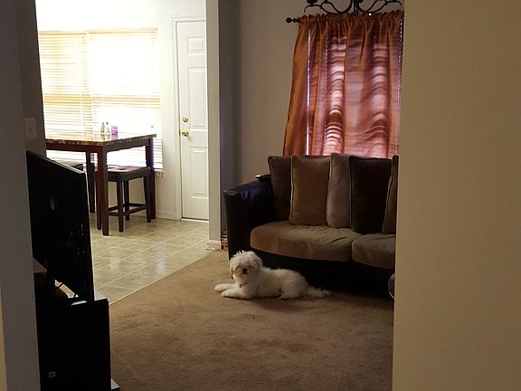 Dining Room/Family Room