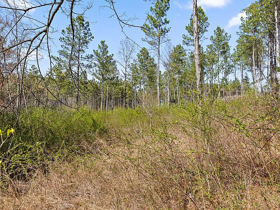 3rd image of 0 County Road 42