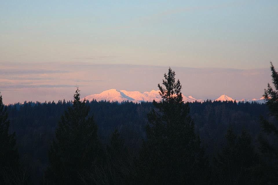 View from Master Bedrood