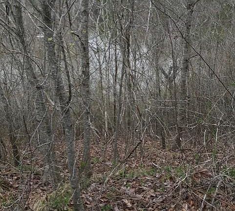 5th image of LOT 31 Stillwater Ln