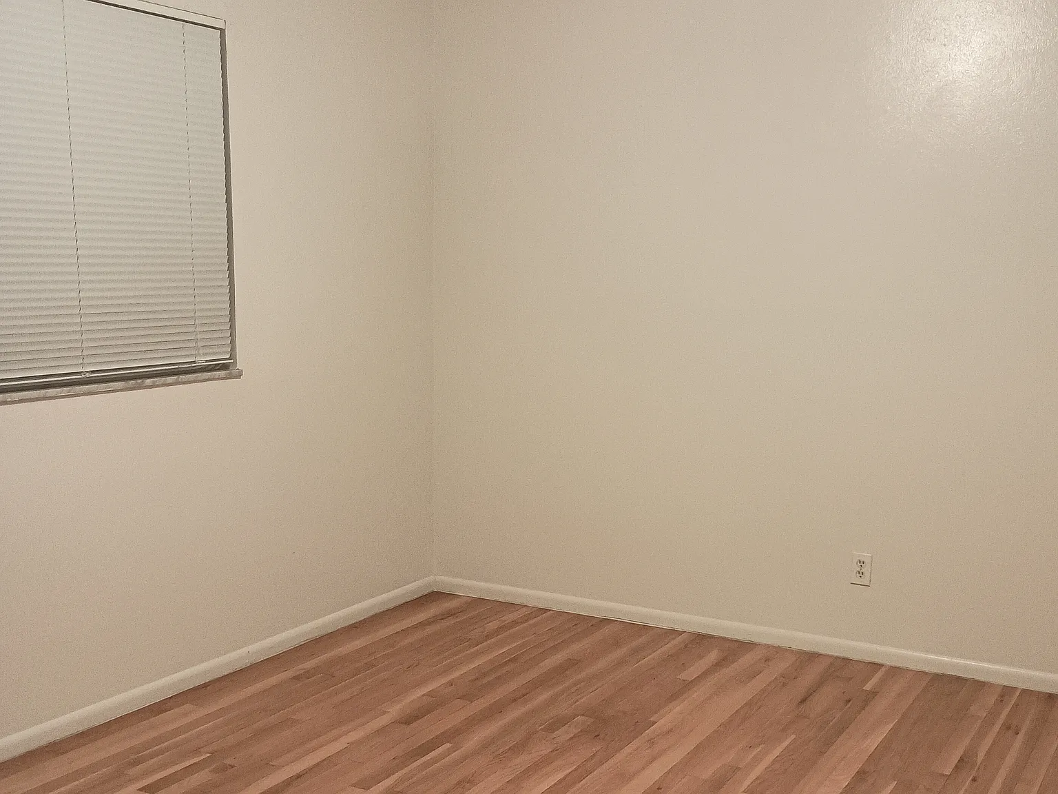 2 bed, 1100 sqft, $1,250 — Photo 2