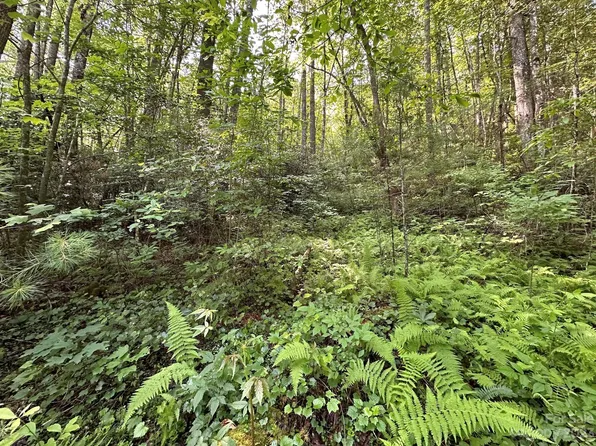 17 Trillium Ln, Rosman, NC 28772