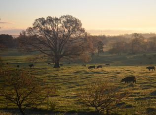 170 Erwin Hill Church Rd SE, Adairsville, GA 30103