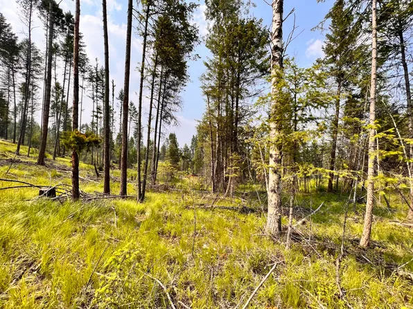 Star Vista Dr Lot 2, Republic, WA 99166