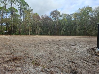 TBD NW 87th Ct, Chiefland, FL, 32626