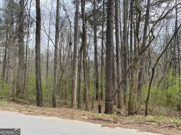 3121 Beaver Dr, Douglasville, GA 30135