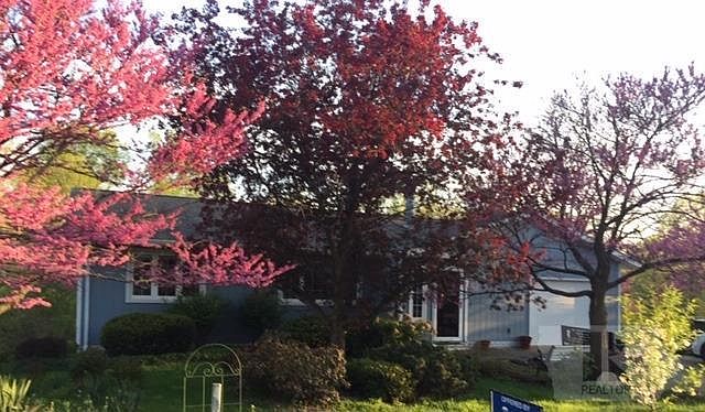 1st image of 521 Lakeview Dr