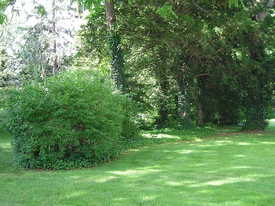 Finest Historic Street