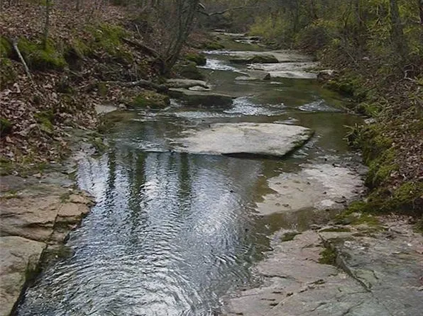 0 Rabbit Farm Rd, Loganville, GA 30052