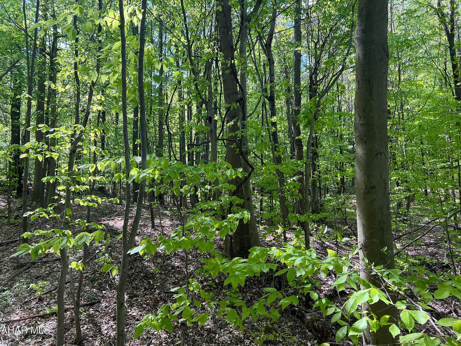 0 Srock Rd, Coalport, PA 16627 MLS 73904 Zillow