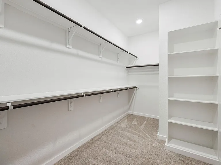 21647 Alberta Forest Cir — Photo 17