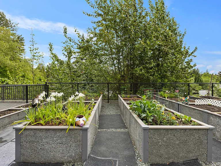 Ovation at Paine Field 55+ Senior Community — Photo 48