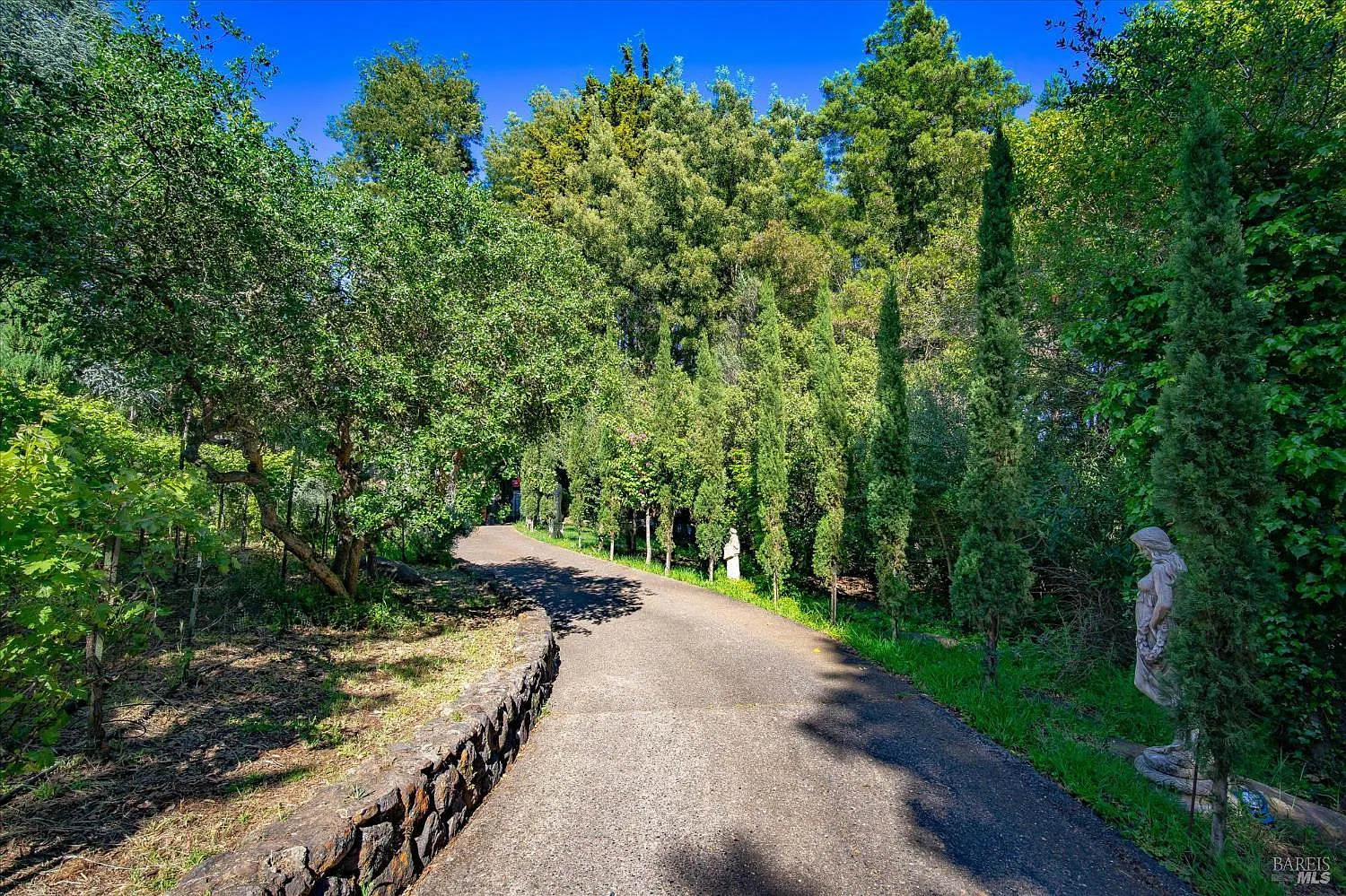 1412 Quail Court - Photo 9
