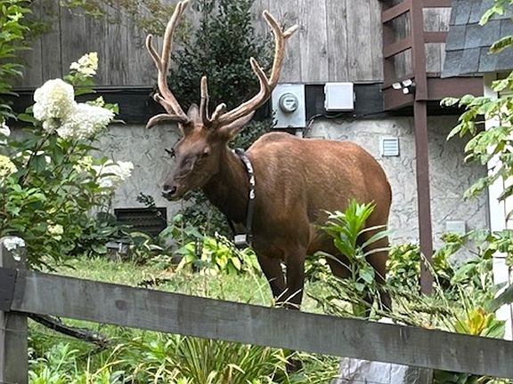 5th image of 102 Sanctuary Rd