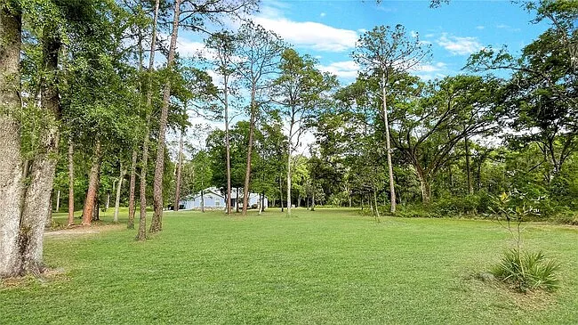 12708 Bellamy Brothers Blvd — Photo 4