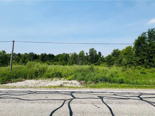 State Route 303, Wellington, OH 44090