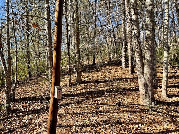 4th image of 3 Silver Poplar Ln
