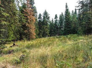 Nhn Blue Slide Rd, Thompson Falls, MT 59873