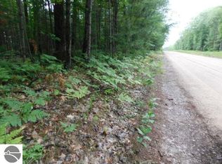 Lake Valley Rd, Kalkaska, MI 49646