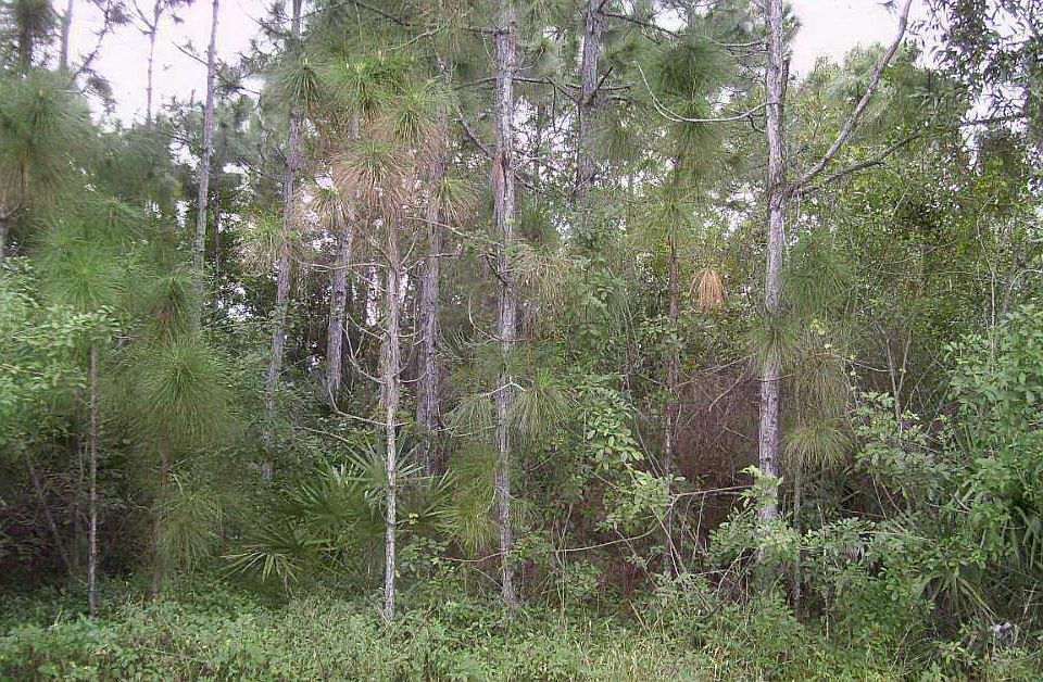 2nd image of 138 SW Carter Avenue