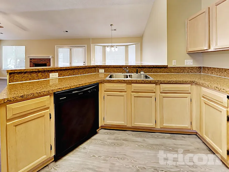 11219 Turmeric Ct — Photo 5
