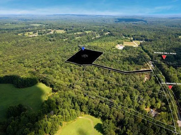 TRACT 2 Georgia Hwy #100-2, Buchanan, GA 30113