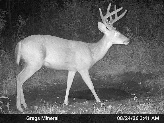 5th image of 999 Bee Branch Rd