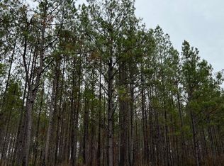 LOT 6 Point Wanita Lake Rd, Chunky, MS 39323