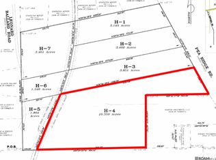 H 4 Pea Ridge Rd, Albany, LA 70711