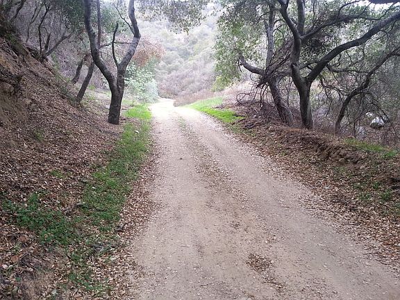 4th image of Edison Woods Rd