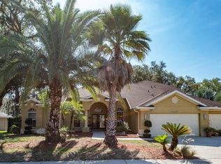10116 Paddock Oaks Dr, Riverview, FL 33569