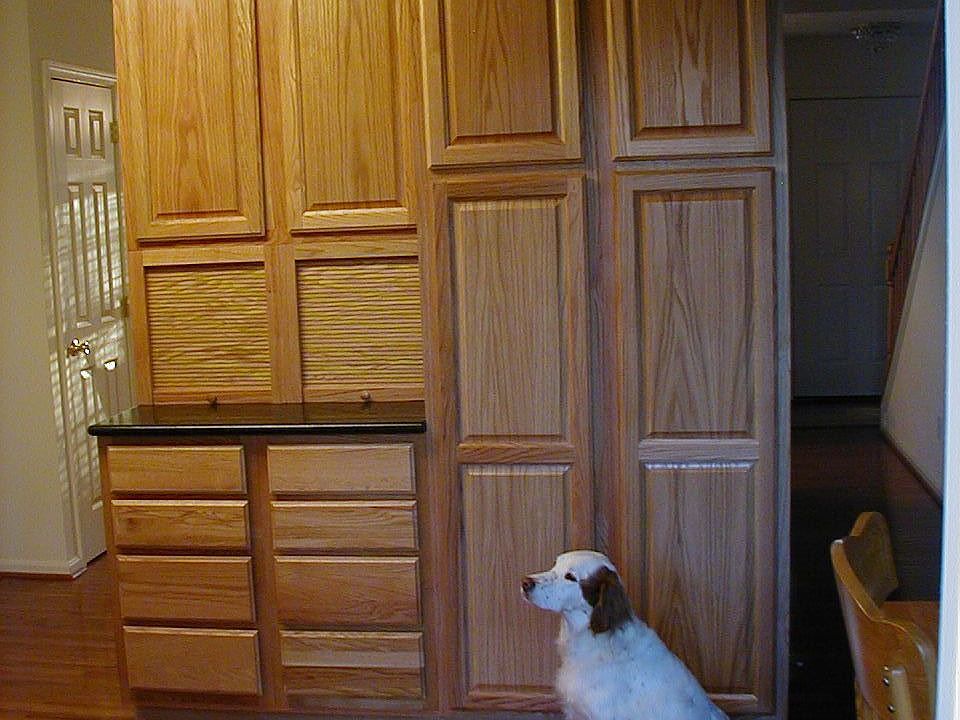 Kitchen: Oak cabinets w/appliance garage and Silestone countertrop